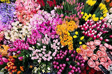 TGA 2024：《铁拳8》宣布联动《最终幻想16》