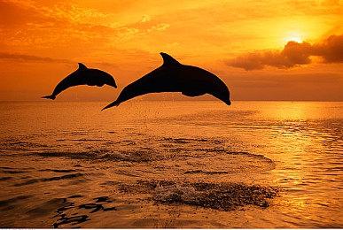 微软公布Xbox Game Pass 8月游戏阵容